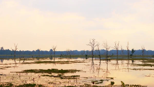 Ang 'daki Neak Poan gölünün güzel doğa manzarası