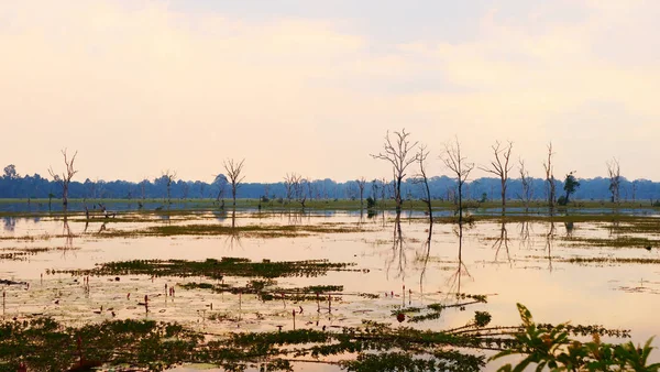 Ang 'daki Neak Poan gölünün güzel doğa manzarası