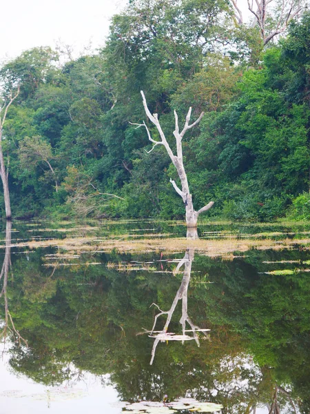 Schöne Natur Landschaft Blick auf See Teich bei neak poan in ang — Stockfoto