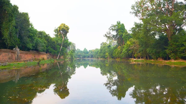 Preah Khan tapınağındaki göl ve ağaç yansımasının manzarası. 