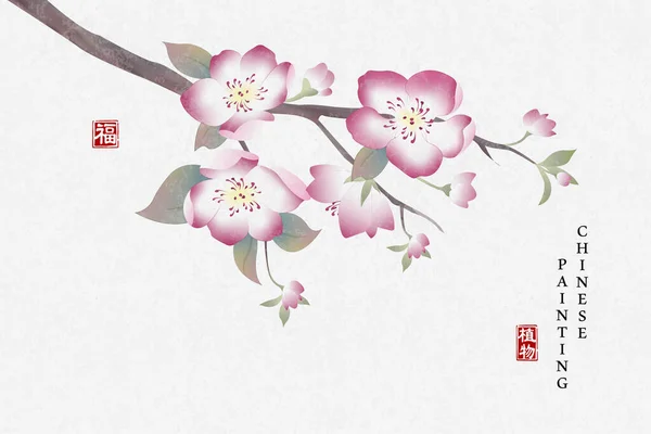 中国の水墨画背景植物エレガントな花桃の花 中国語訳データベースシステム 植物と祝福 — ストックベクタ