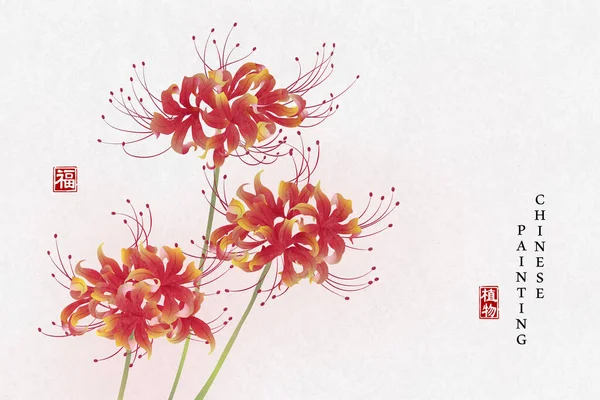 Chinese Inkt Schilderen Kunst Achtergrond Plant Elegante Bloem Lycorisradiata Chinese — Stockvector