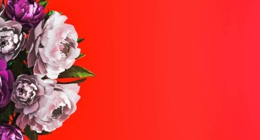 Kırmızı çiçekli, beyaz ve mor şakayıklı..