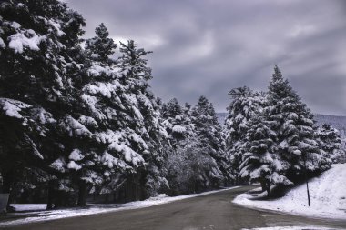 Kışın ormana giden yol..