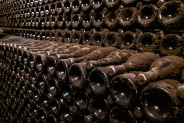 Tozlu şarap şişeleriyle dolu uzun sıralar karanlık bir mahzende tutuluyor. Köpüklü şarap üretim teknolojisi