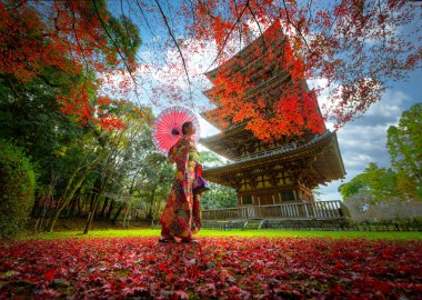 Geleneksel ya da orijinal Japon kıyafetleri giyen eski moda bir kadın park bahçesinin ortasında tek başına yürüyor. Japon tarzı çekici bir kadın.
