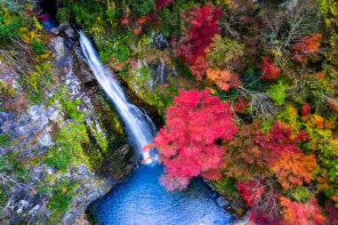 Minoo Şelaleleri 'nin üst hava manzarası, Japonya' nın Kyoto, Osaka kentindeki popüler şelale ve turistler için Minoh Parkı.