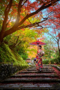 Geleneksel ya da orijinal Japon kıyafetleri giyen eski moda bir kadın, sonbahar mevsiminde köyün ortasında tek başına yürüyor., 