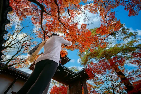 Woman Traveller Takes Photo Red Maple Leafs Season Change Japan — 스톡 사진