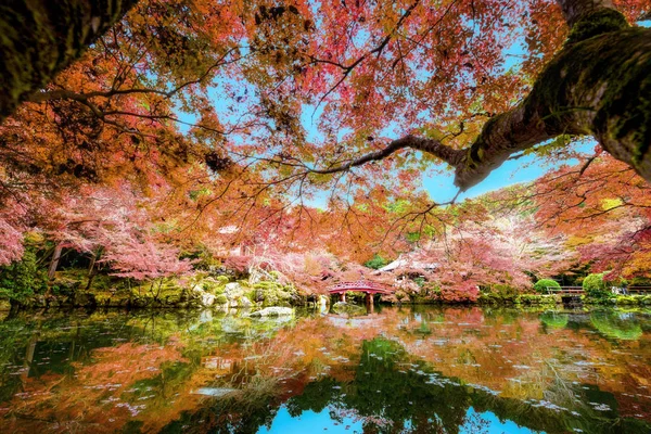 Widok Dekoracji Daigoji Świątynny Przybytek Porze Roku Zmiana Jesieni Popularne — Zdjęcie stockowe