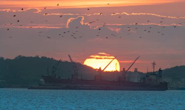 Gemi vinci tarafından yüklenen konteynır ünitesi, liman terminaline naklediliyor, liman işçisi çalışıyor, lojistik ve ulaşım hizmetleri dünya çapında küresel taşımacılık