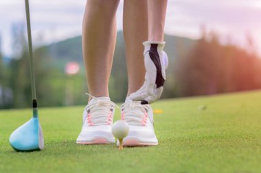 Kadın golfçü golf topunu yeşile hazırla, konsantre ol ve topa vurmaya hazır ol.