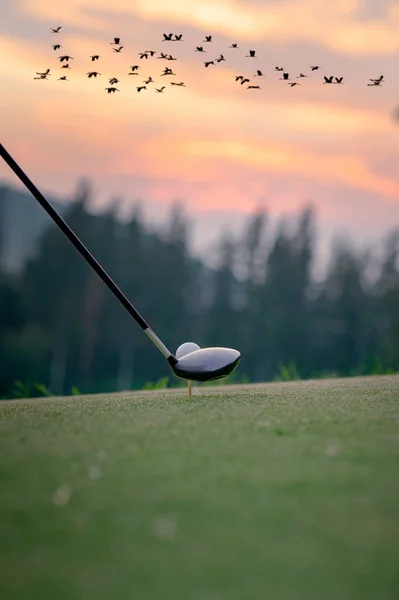 Vezető Hogy Elérje Golflabda Tee Hogy Megtalálja Győztes Cél Előtt — Stock Fotó