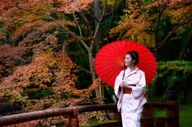 Geleneksel ya da orijinal Japon kıyafetleri giymiş, elinde şemsiyesi olan kadın, sonbahar parkının ortasında yürüyor, seyahat ediyor ve Japonya 'yı ziyaret ediyor.