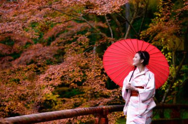 Geleneksel ya da orijinal Japon kıyafetleri giymiş, elinde şemsiyesi olan kadın, sonbahar parkının ortasında yürüyor, seyahat ediyor ve Japonya 'yı ziyaret ediyor.