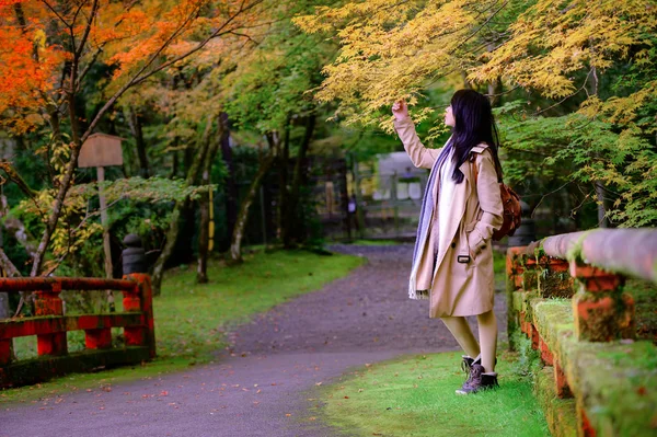 女旅行家喜爱并欣赏日本秋季季节变迁的本质 — 图库照片