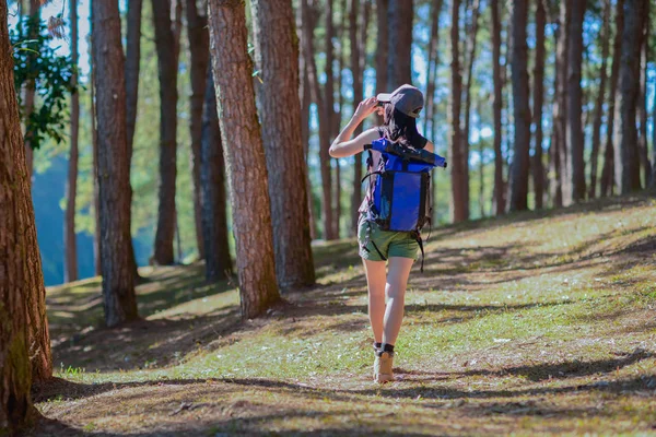 Kvinna Backpacker Reser Djungeln Skogen Söker Naturlivet Sommar Och Semester — Stockfoto