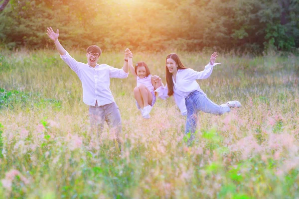 Grupp Varma Familjen Njuta Att Leka Tillsammans Vilda Blommor Äng — Stockfoto