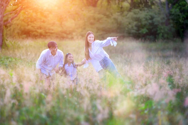 Grupa Ciepłej Rodziny Bawić Się Razem Polnej Łące Dzikich Kwiatów — Zdjęcie stockowe