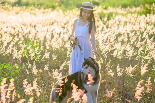 若い女性の散歩は犬の仲間と暖かい太陽の光の中で自由を感じます 牧草地で野生の花の開花 牧草地の分野での楽しさと平和 — ストック写真