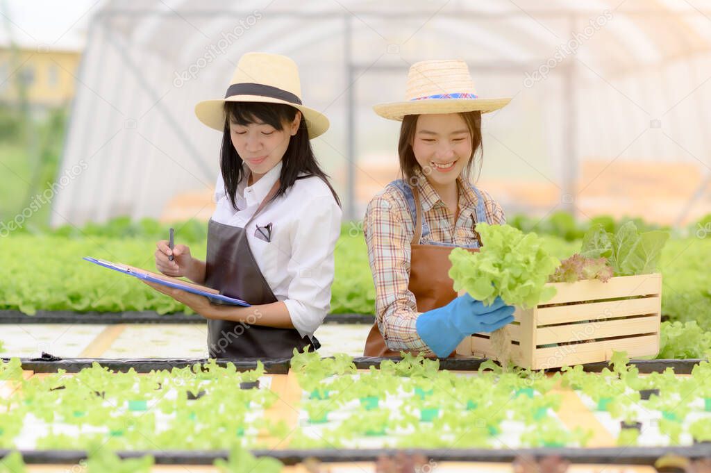 researcher and woman farmer in take care of Fresh vegetable Organic in wooden basket prepare inspection and harvest in hydroponic farm, greenhouse