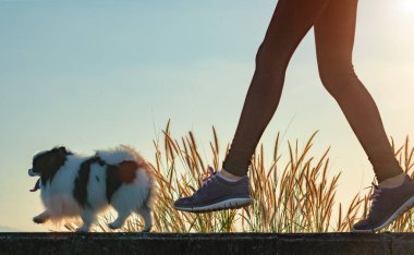 Mutlu köpek yavrusu sabah gün ağarırken ev sahibiyle egzersiz yapıyor.