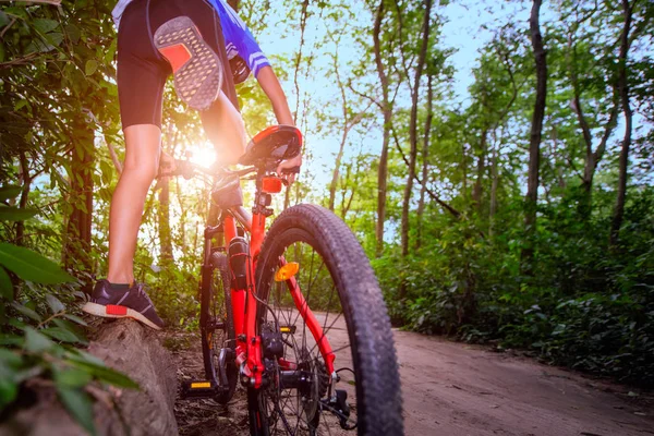 Stap Rijden Van Vrouw Fietser Weg Van Het Regenwoud Weg — Stockfoto