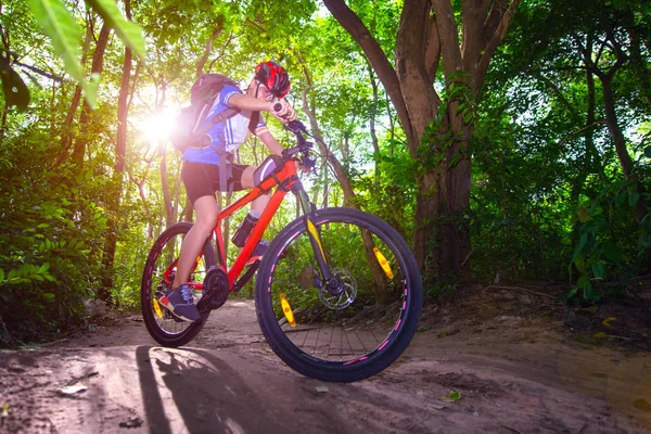 Vrouw Fietser Rijden Weg Van Het Regenwoud Weg Avontuur Vrouw — Stockfoto