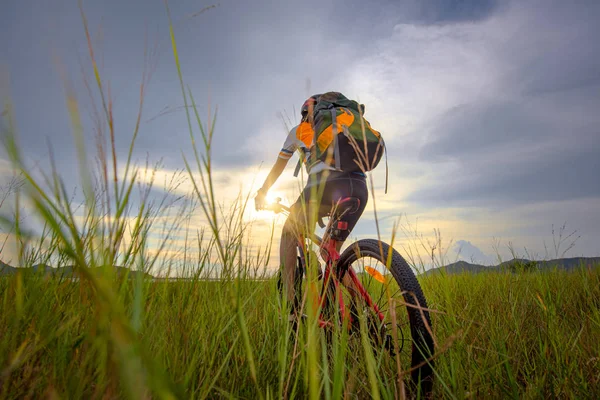 Femme Cycliste Vélo Joyeusement Équitation Sur Chemin Champ Prairie Aventure — Photo