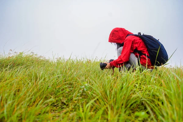Woman Researcher Doing Takes Photo Grass Environment Hill Mountain Misty — Stockfoto