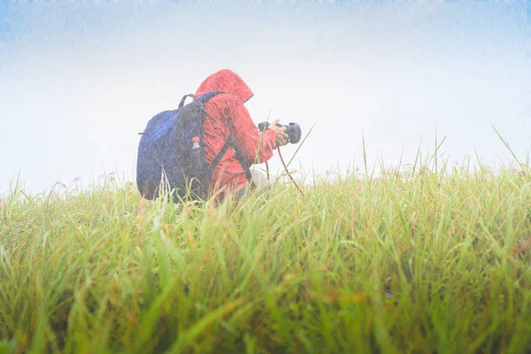 Woman Researcher Doing Takes Photo Grass Environment Hill Mountain Raining — Stok fotoğraf