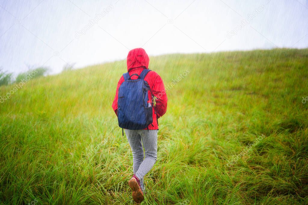 woman traveller walking in the raining shower on the grasses of the hill, trekking on the mountain to destination under raining, Hard life keep going without give up