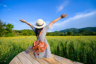 Kadın kız, kır çiçeklerinin ortasındaki kereste kütüğünün üzerinde elini havaya kaldırıp eğleniyor.