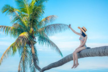 Happy Bikini woman sitting and cheerfully of selfie mobile on coconut palm tree over the sea water at blue sky of daylight in background