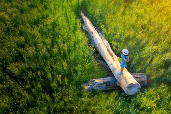 Top View Woman Girl Enjoy Rstanding Timber Log Middle Wildflowers — 스톡 사진