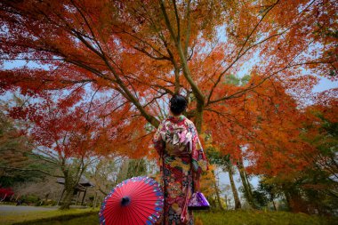 Geleneksel ya da orijinal Japon kıyafetleri giymiş, elinde eski moda şemsiyeyle köyün bahçesinde sonbahar parkının ortasında yürüyor, seyahat ediyor ve Japonya 'yı ziyaret ediyor.
