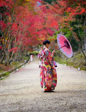 Geleneksel ya da orijinal Japon kıyafetleri giymiş, elinde eski moda şemsiyeyle köyün bahçesinde sonbahar parkının ortasında yürüyor, seyahat ediyor ve Japonya 'yı ziyaret ediyor.
