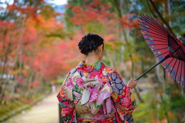 Geleneksel ya da orijinal Japon kıyafetleri giymiş, elinde eski moda şemsiyeyle köyün bahçesinde sonbahar parkının ortasında yürüyor, seyahat ediyor ve Japonya 'yı ziyaret ediyor.