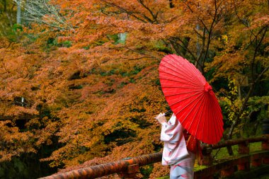 Geleneksel giyinen eski moda bir kadın ya da orjinal Japon kıyafeti giyen köyün köprüsünde yürüyen, Japonya 'yı ziyaret etmek için popüler ve ünlü bir yerde sonbahar mevsimi açan bir kadın.