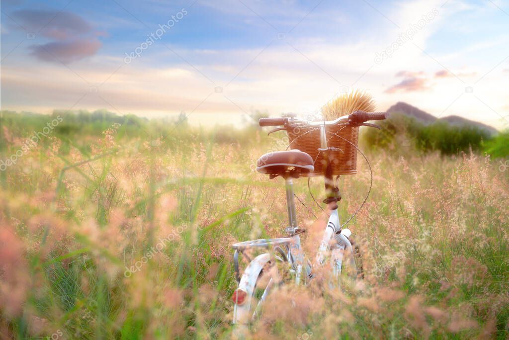 retro bycycle standing in the meadow flowers waiting couple lover, softening sweet and ramantic in valentine honeymoon occasion