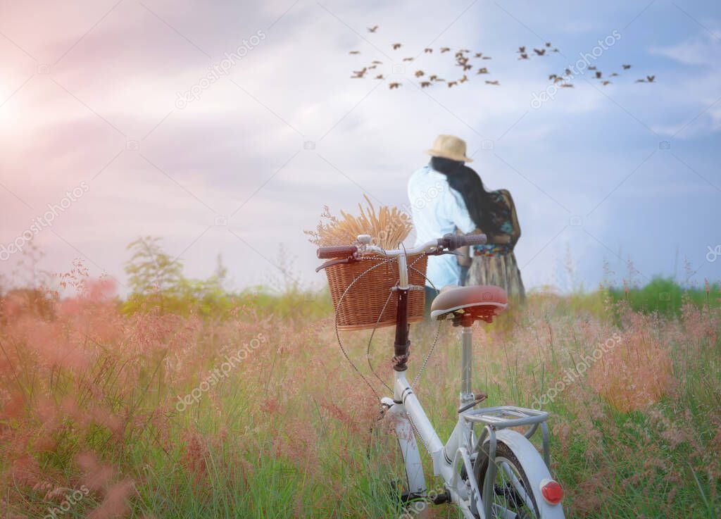 retro bycycle standing in the meadow flowers waiting couple lover, softening sweet and ramantic looking flock of bird flying over the meadow together in valentine honeymoon occasion