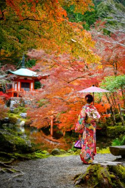 Geleneksel ya da orijinal Japon kıyafetleri giymiş, elinde eski moda şemsiyeyle köyün bahçesinin ortasında tek başına duran, sonbahar parkında seyahat eden ve Japonya 'yı ziyaret eden bir kadın.