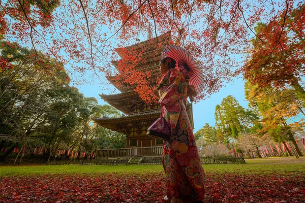 Geleneksel Orijinal Japon Kıyafetleri Giymiş Elinde Eski Moda Şemsiyeyle Köyün — Stok fotoğraf