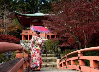 Geleneksel ya da orijinal Japon kıyafetleri giymiş, eski moda kimonolu eski moda şemsiyeli kadın, sonbahar parkı köprüsünün ortasında yürüyor, seyahat ediyor ve Japonya 'yı ziyaret ediyor.