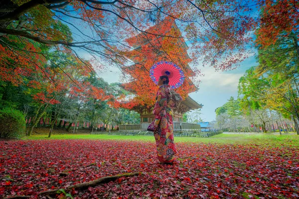 Geleneksel Orijinal Japon Kıyafetleri Giymiş Eski Moda Kimonolu Retro Şemsiyeli — Stok fotoğraf