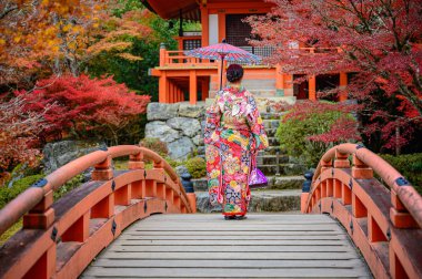 Geleneksel kimono tarzı retro şemsiyeli kadın, sonbaharda köy bahçesindeki köprü parkında yürüyor, Japonya 'ya geliyor ve spor müsabakalarını ziyaret ediyor.