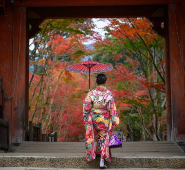 Geleneksel kimono tarzı retro şemsiyeli kadın, sonbaharda köy bahçesinin ortasında tek başına kırlangıçlık yapıyor, Japonya 'ya geliyor ve spor müsabakalarını ziyaret ediyor.