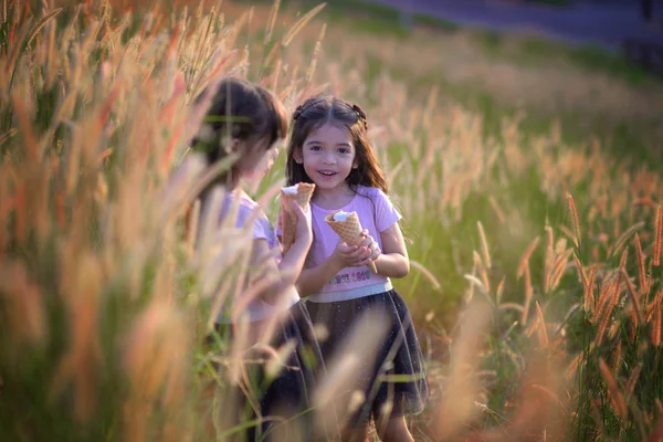 Kids Playing Together Holding Ice Cream Hand Joyful Field Meadow — Stock Photo, Image