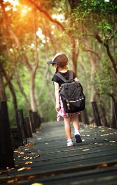 Küçük bir kız yağmur ormanlarındaki eski ahşap köprüde tek başına yürüyor. Yolunu şaşırmış, başıboş ve endişeli hissediyor, yoldan çıkmaktan korkuyor ve rahatsız oluyor.