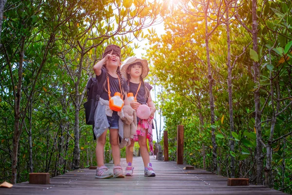 Bambini Walking Ponte Legno Della Giungla Forestale Unirsi Gita Campo — Foto Stock